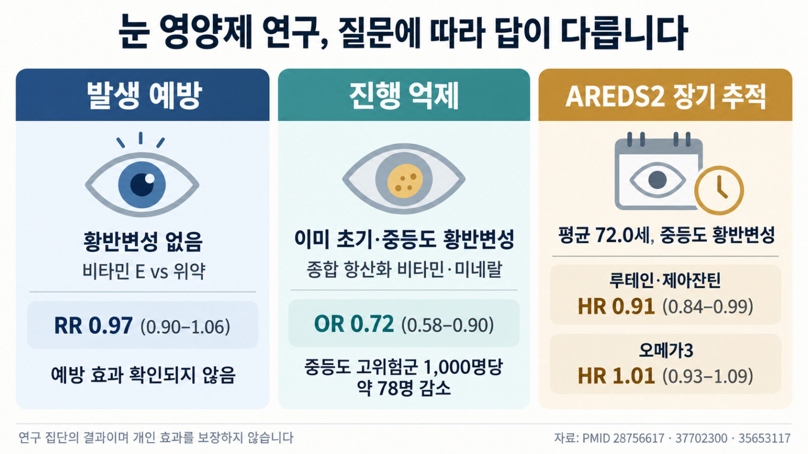 황반변성 발생 예방·진행 억제·AREDS2 장기 추적 결과를 수치와 함께 비교한 인포그래픽
