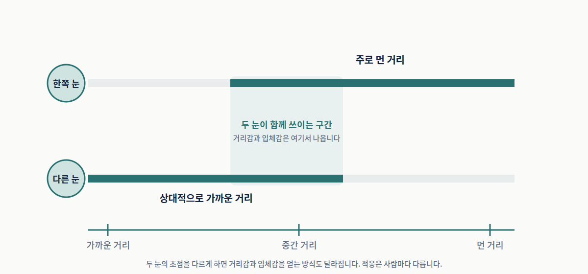 모노비전 개념도. 한쪽 눈은 먼 거리, 다른 쪽 눈은 가까운 거리에 상대적으로 초점을 맞추고 두 구간이 겹치는 범위가 있다.