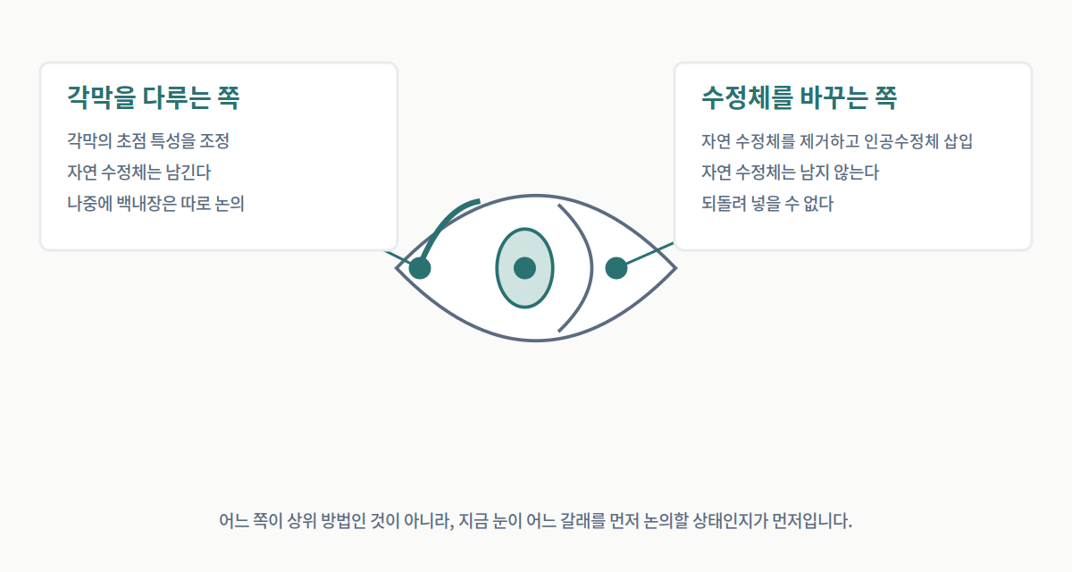 노안 교정의 두 갈래를 눈 단면에 표시한 그림. 각막을 다루는 쪽은 자연 수정체를 남기고, 수정체를 바꾸는 쪽은 인공수정체로 교체한다.